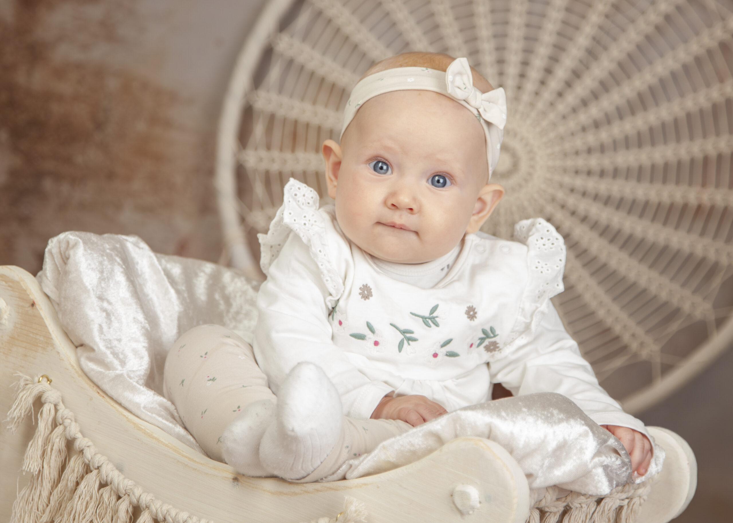 Baby Studio
